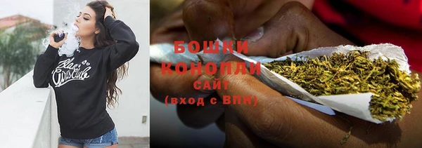 прущие крисы Болохово