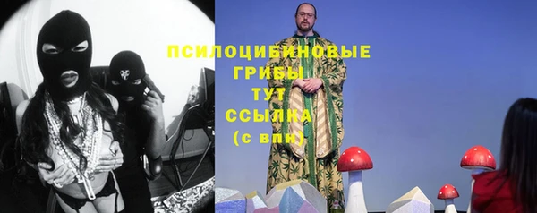 спиды Майский