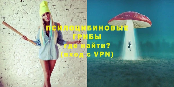 спиды Майский