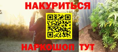 эйфоретик Кингисепп