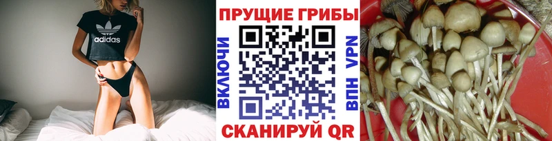 Псилоцибиновые грибы прущие грибы  Солнечногорск 