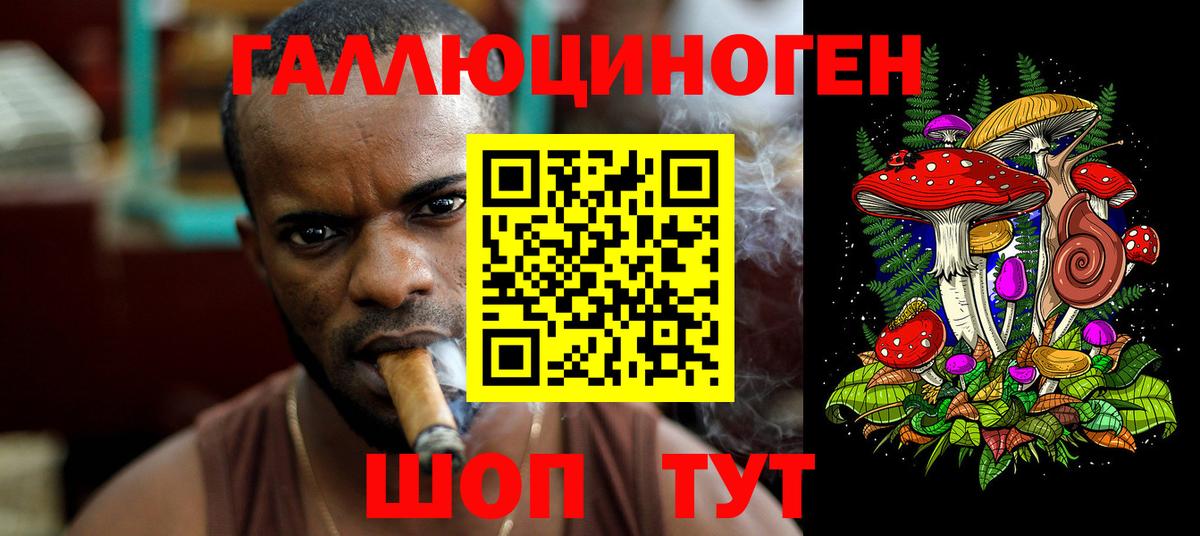 Псилоцибиновые грибы прущие грибы Солнечногорск